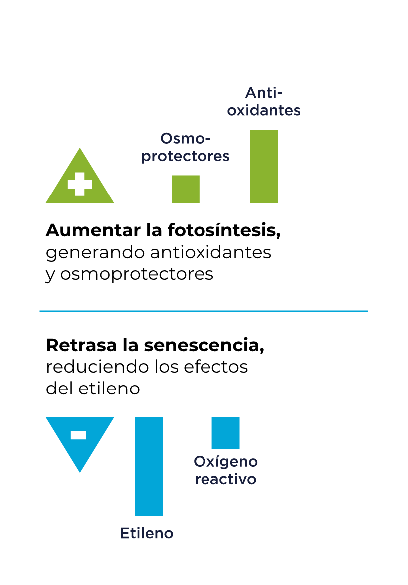 Gráfico de características